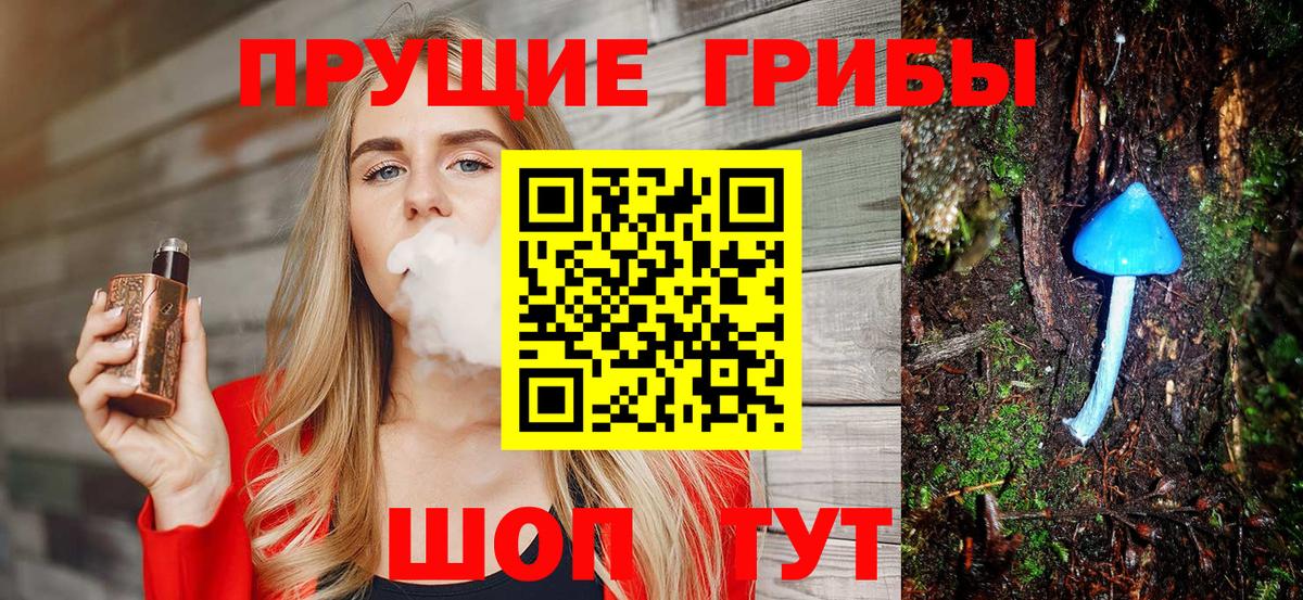 Галлюциногенные грибы Psilocybe Нарткала