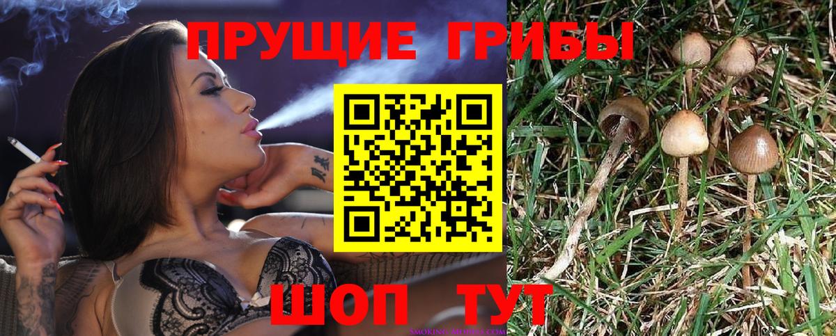 Галлюциногенные грибы мицелий  Вход с VPN  Нарткала  Псилоцибиновые грибы Magic Shrooms 